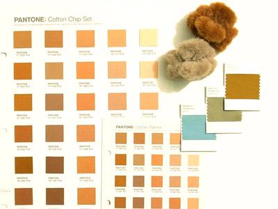 Pantone spiega: Guida alla corrispondenza dei colori e al colore dell'anno